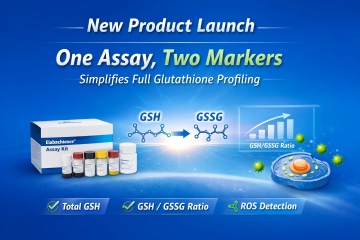 New Product Launch│One Assay, Two Markers Simplifies Full Glutathione Profiling - cover